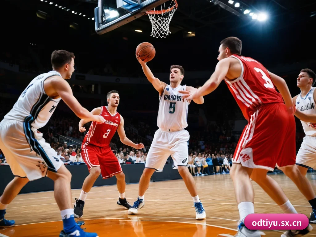 五大服务分区,信息按项目分类（OD）